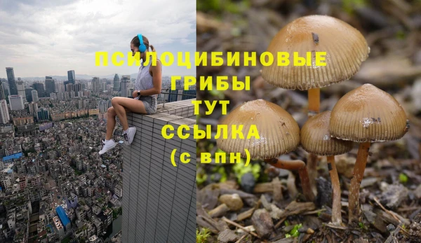 каннабис Богданович