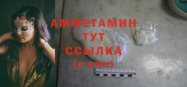 дживик Богородицк