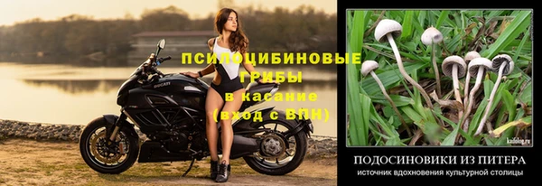 мяу мяу мука Пролетарск