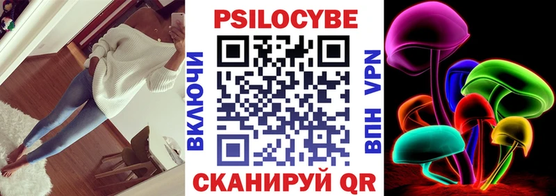 Псилоцибиновые грибы Psilocybe  Шумиха 